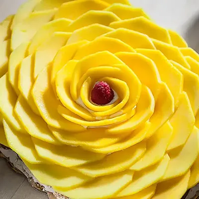 pic of Mango Pavlova